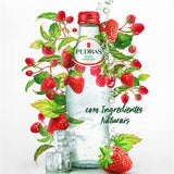 Agua Das Pedras Red Fruits Sparkling 24 x 250mL